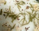 こく旨しょうゆ味★きのこの炊き込みごはん作り方2写真