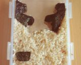 【お弁当】　☆カクカクシカジカ弁当☆作り方5写真