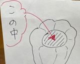ごろっとピーマンの肉詰めプチトマト煮込み作り方4写真