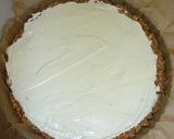 水切りヨーグルトで♪簡単レアチーズケーキ作り方5写真