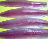 ちょっぴりピリ辛☆秋刀魚の蒲焼き作り方1写真