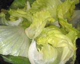 たくさん食べられる★レタスのごまあえ作り方1写真