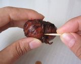 定番栗の渋皮煮　休日一日使って♪作り方13写真