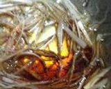 ちじみ風ニラ納豆はさみ焼。作り方21写真