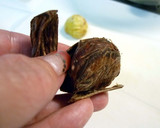 圧力鍋で栗の皮をむきましょう！作り方5写真