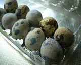うずら卵の梅酢漬け作り方1写真