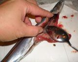 秋刀魚のワタの苦手な人の秋刀魚の塩焼き作り方3写真