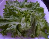 ヘルシー贅沢サラダ♪焼鮭バージョン作り方1写真
