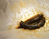 竹輪で✿みそ漬けアスパラ巻きマキ～♫♬作り方4写真