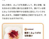 簡単！みょうがの甘酢漬け作り方13写真