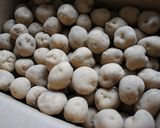 ほくほく＆甘あま♪じゃがいものかき揚げ作り方5写真