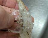 キッチンばさみで海老の下処理作り方4写真