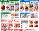 保存版✅いちじくの保存方法｜冷蔵・冷凍の仕方作り方1写真