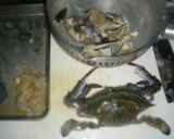 ワタリガニと豆腐のチリソース作り方1写真