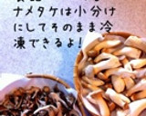 保存tips キノコ類と青ネギの冷凍保存作り方2写真