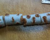 うまっ✿活きちくわとたけのこのてんぷら作り方2写真