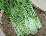 【農家のレシピ】水菜（壬生菜）の浅漬け作り方1写真