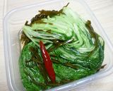 【農家のレシピ】水菜（壬生菜）の浅漬け作り方5写真