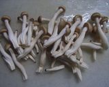栗ごはん作り方4写真