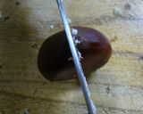 茹で栗の中身の出し方作り方1写真