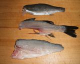 セイゴ（スズキ）のマリネ作り方1写真