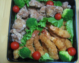 2010年　幼稚園運動会のお弁当☆作り方1写真