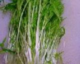 サルサは豚と水菜。作り方1写真