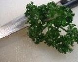 サルサは豚と水菜。作り方11写真
