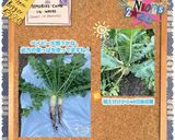 ♡大根葉のふりかけ♡メモ用作り方1写真