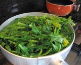 栄養満点★大根の葉ふりかけ　作り方1写真