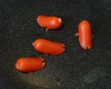 キャラ弁　ソーセージであざらし作り方5写真