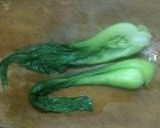 酸っぱ辛くて大人味☆青梗菜のおひたし作り方1写真