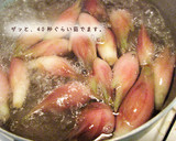 大人の味。茗荷（みょうが）の甘酢漬け作り方1写真