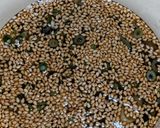 うずらの卵の醤油漬け🥚お弁当等にも❣作り方1写真