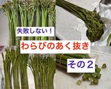 わらびのナムル風 ビールが進む作り方9写真