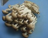 我が家の常備!きのこ作り方7写真