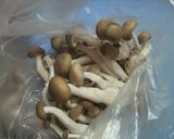 我が家の常備!きのこ作り方8写真