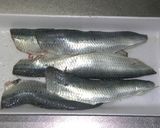 イワシのトマト煮作り方1写真