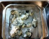 基本の牡蠣の酒蒸し→簡単!牡蠣の味噌汁作り方2写真