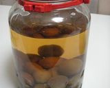 ♪手作り♪梅酒　～観察用～作り方9写真