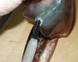 スルメイカの皮をむこう作り方2写真