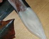 スルメイカの皮をむこう作り方4写真
