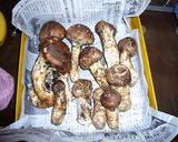酒の肴に♪松茸の塩釜焼き作り方1写真