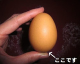 ゆで卵がツルンと むけちゃう方法作り方1写真
