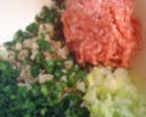 焼き餃子(ちょっと味付け変えてみました)作り方2写真