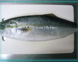 鰤と厚揚げの煮物作り方1写真