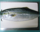 鰤と厚揚げの煮物作り方1写真