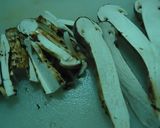 マツタケの下ごしらえ作り方8写真