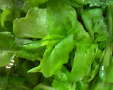 間引き菜活用！あっという間！菜ごはん作り方1写真