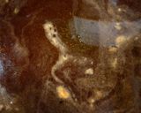 ヨウサマの減塩カラスカレイの照り焼き作り方3写真